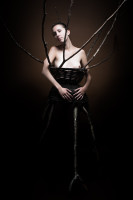 In Wood-1